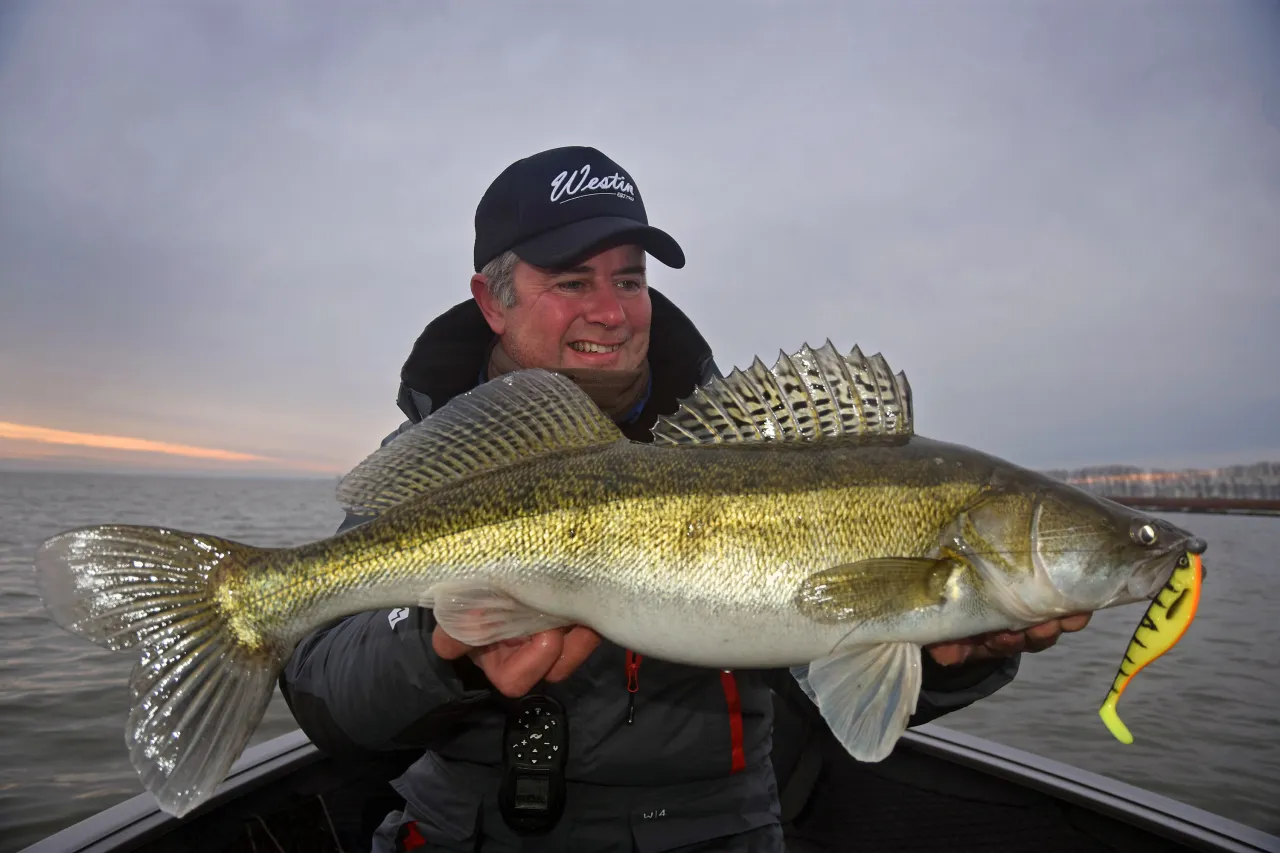 wędkarz łowiący sandacza