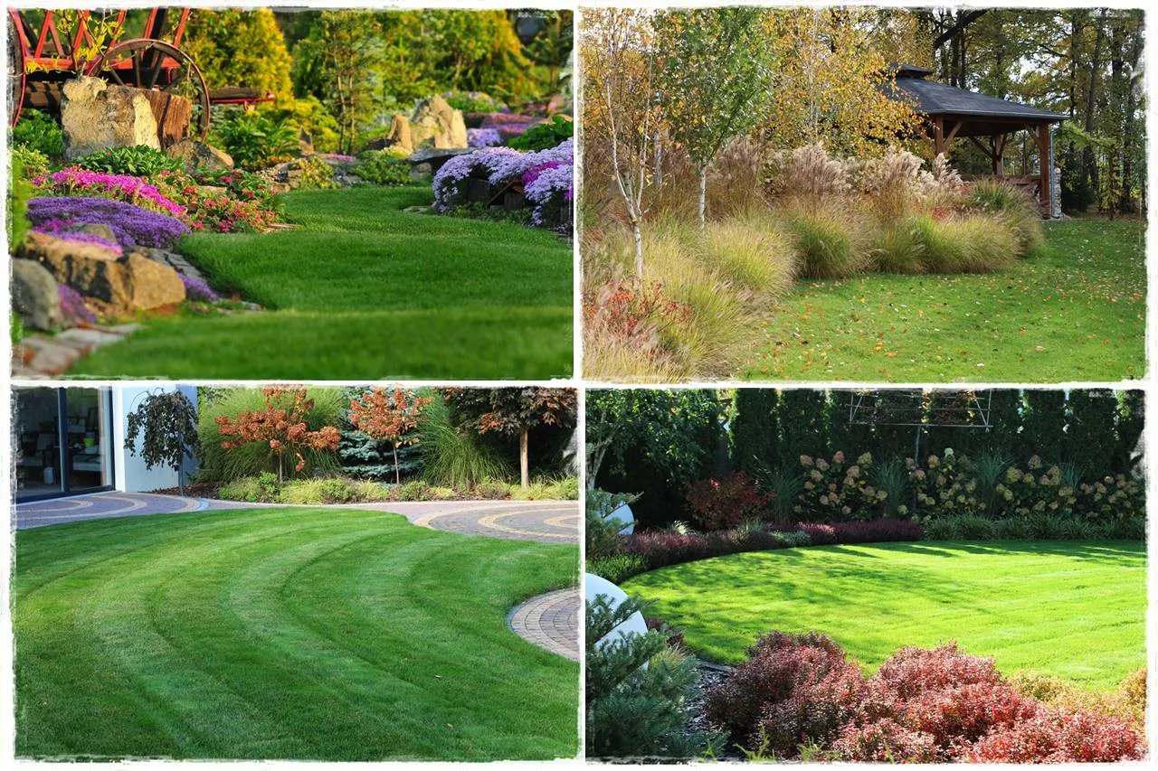 różne kształty i rozmiary trawników