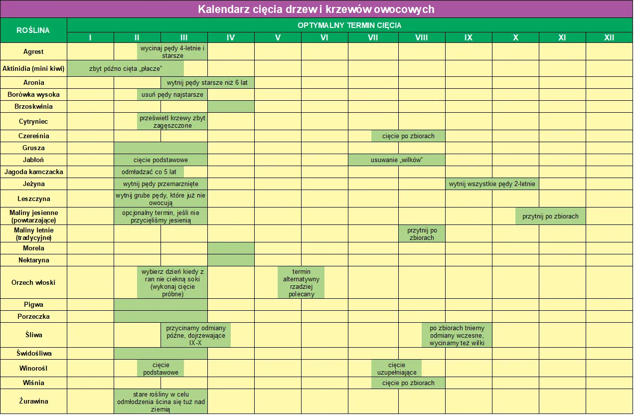 Kalendarz przycinania jeżyn diagram