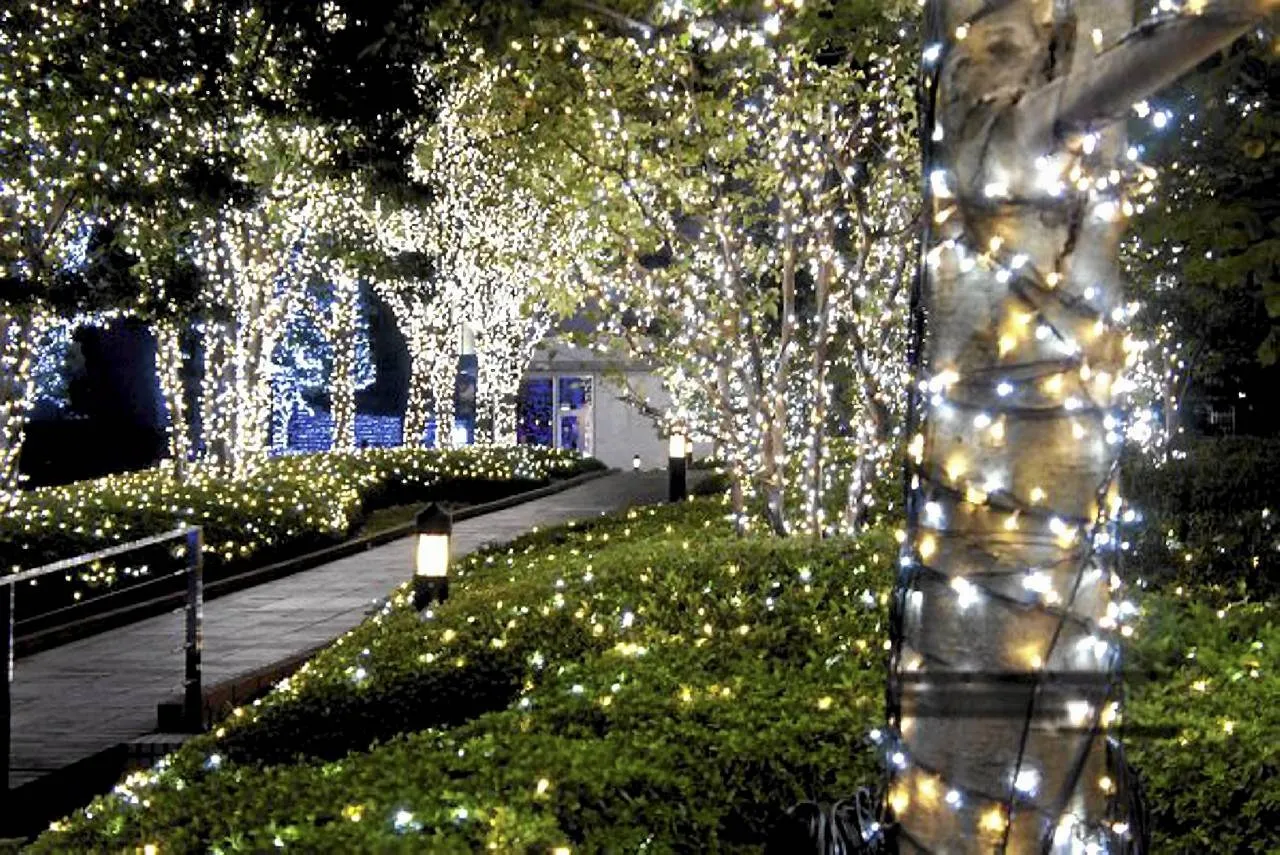 Magiczny ogr&oacute;d rozświetlony tysiącami lampek, idealny przykład, jak udekorować ogr&oacute;d na święta bożego narodzenia. Ścieżka prowadzi przez świetlisty gaj.