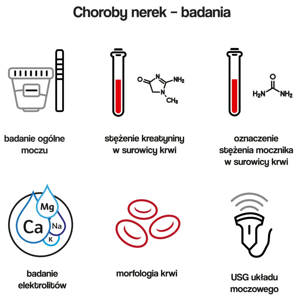 badania krwi na nerki infografika
