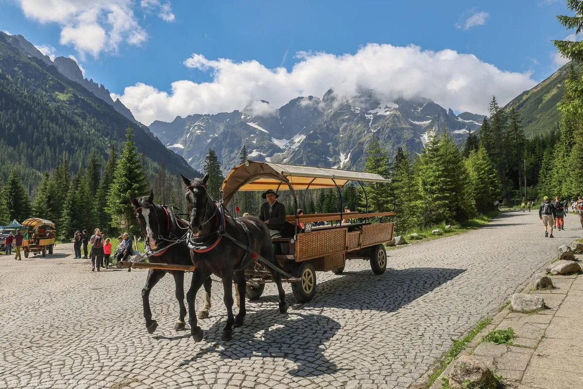 Fasiągi Morskie Oko Włosienica