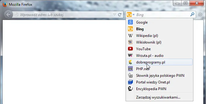 Pasek adresu przeglądarki z podświetloną domeną