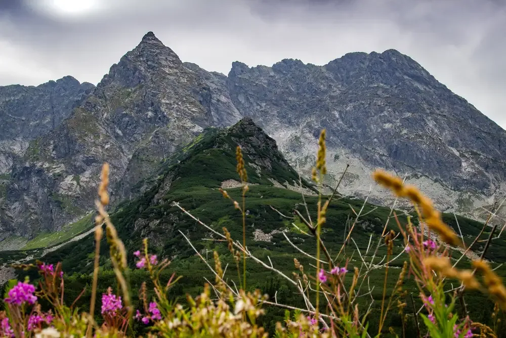 Krajobrazy polskich gór różnorodność Tatry Bieszczady Karkonosze