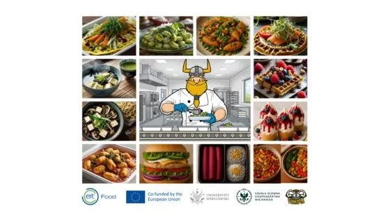 rodzaje cateringu wizualizacja