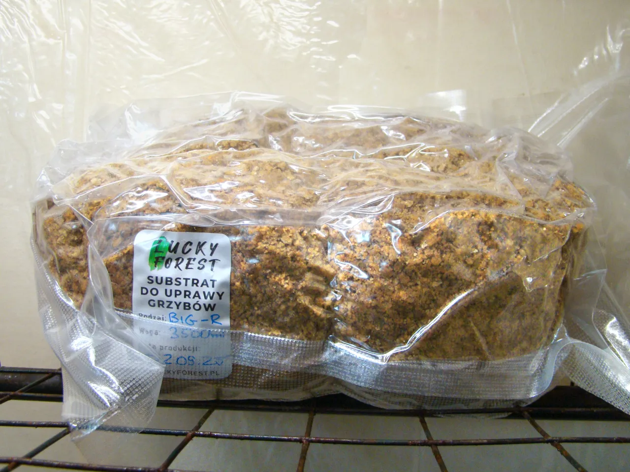 Grzyby psylocybinowe status prawny Polska