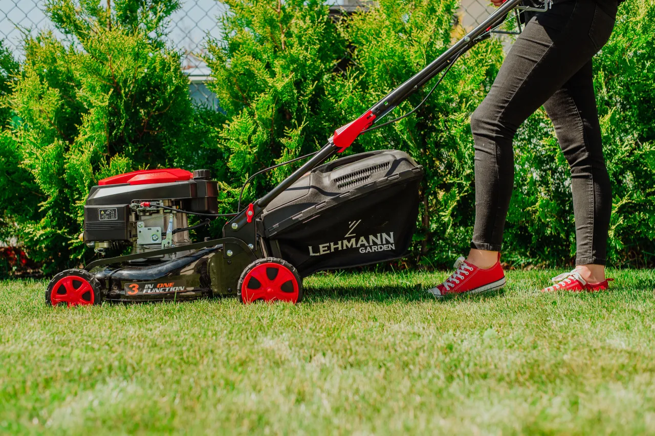 Mulczowanie trawnika korzyści