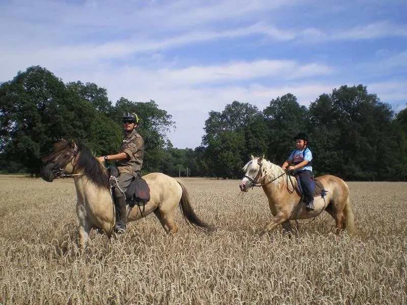 mapa ośrodków jeździeckich Wrocław