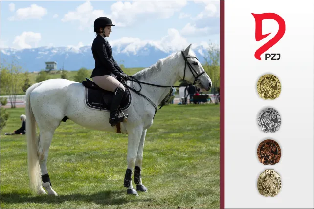 Jeździec na koniu z odznaką PZJ