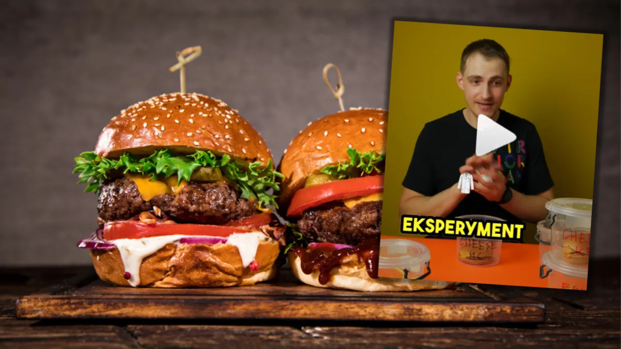 kilkunastoletni hamburger bez pleśni mit vs rzeczywistość