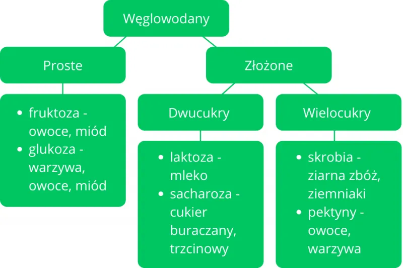 Węglowodany proste i złożone porównanie