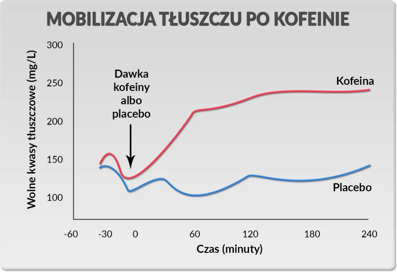 Infografika: Składniki aktywne spalaczy tłuszczu