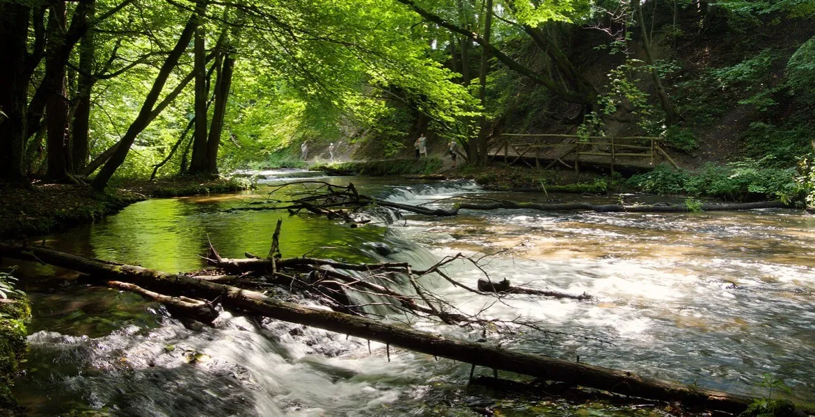 Rezerwat Szum kaskady Tanwi