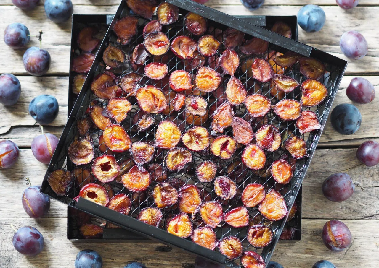śliwki węgierki do suszenia