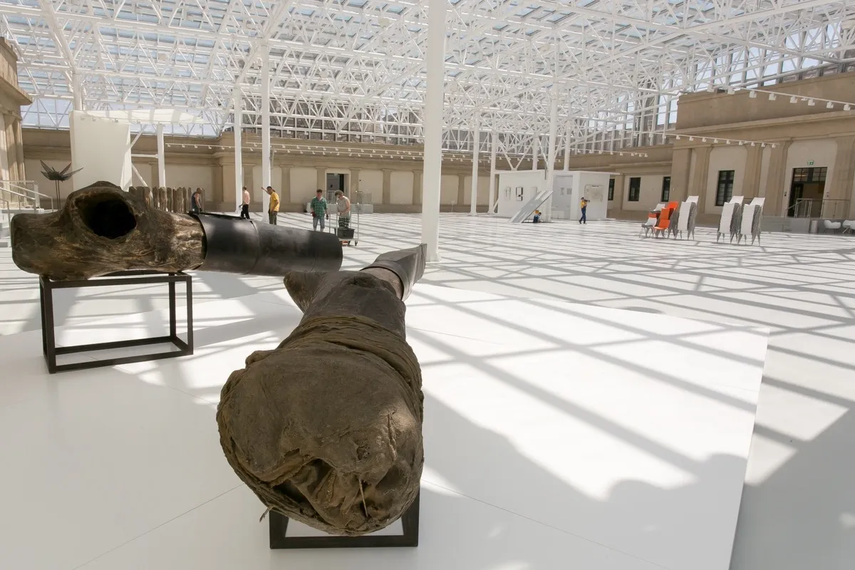 Pawilon Czterech Kopuł architektura i wnętrze