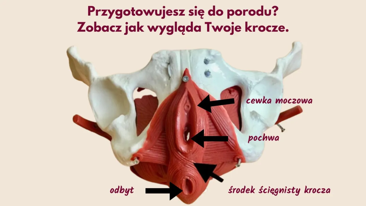 Kobieta w ciąży masująca krocze w domowym zaciszu