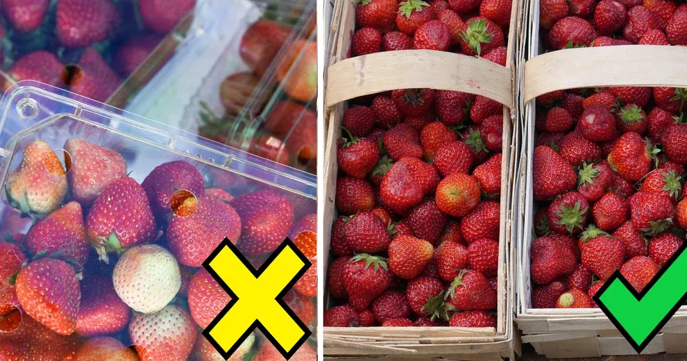 jak rozpoznać świeże polskie truskawki