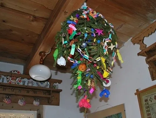 Porównanie podłaźniczki i wczesnej choinki