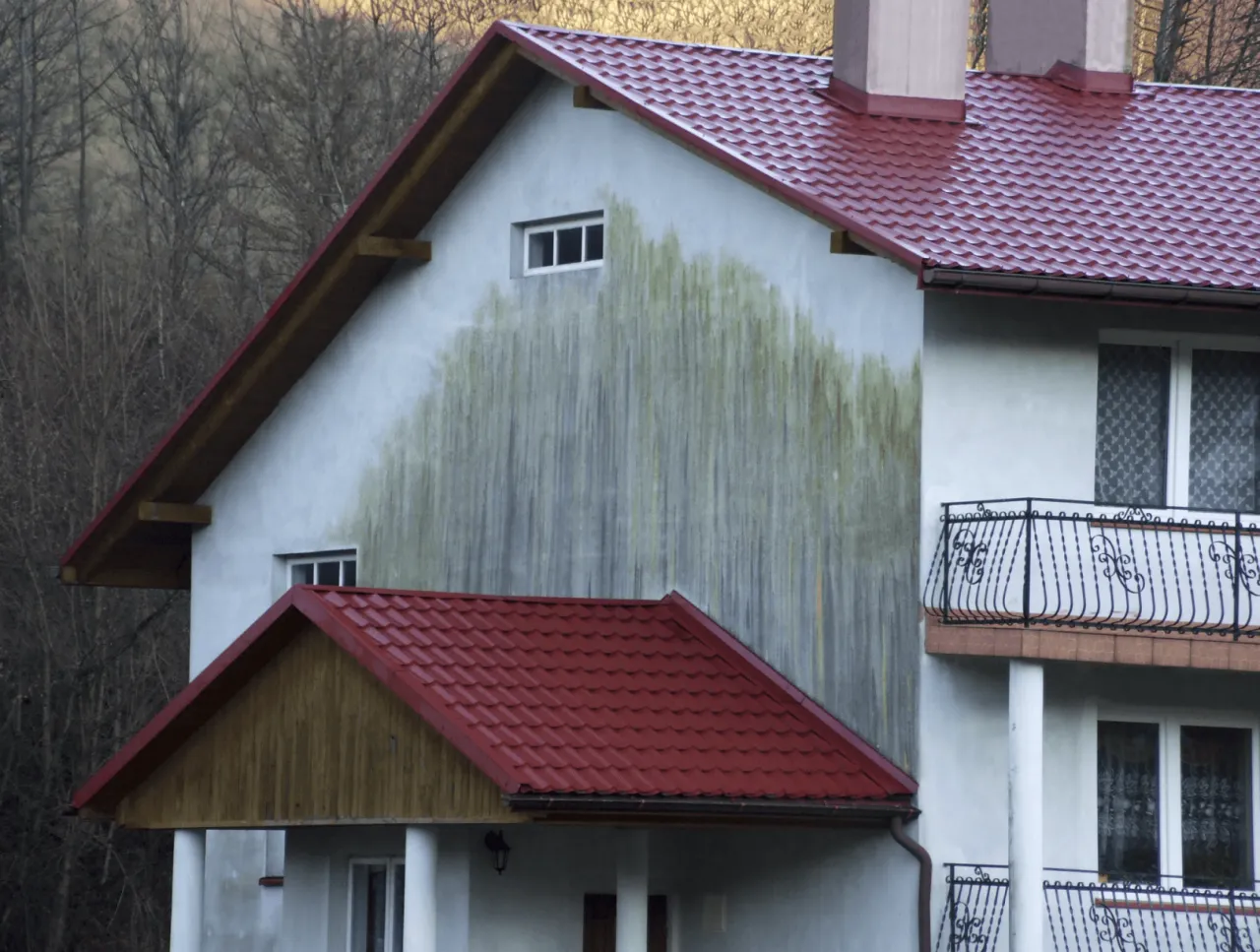 Elewacja z zielonym nalotem glony przed i po czyszczeniu