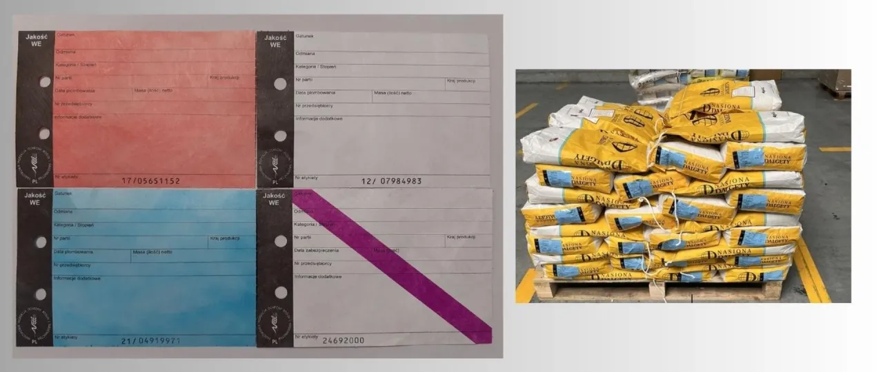 Etykiety z informacjami o jakości i pochodzeniu materiału siewnego, obok stosy work&oacute;w z nasionami.