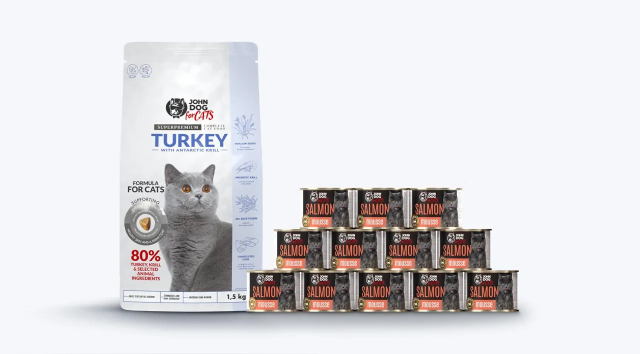 karma mokra i sucha dla kociąt