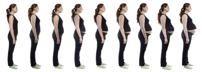 Etapy wzrostu brzucha w ciąży