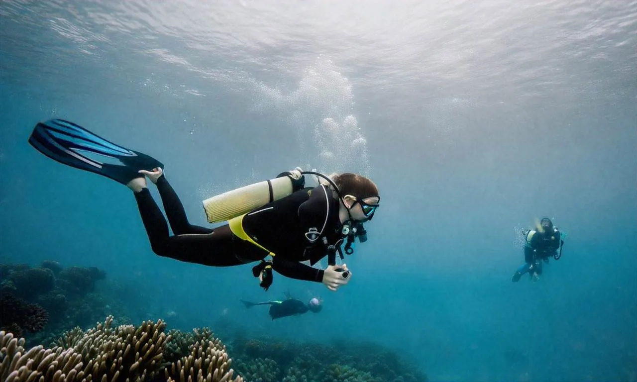 Wielka Rafa Koralowa nurkowanie