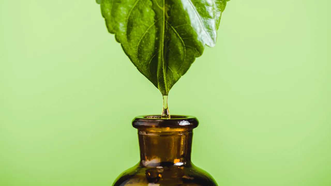 Kropla cennego płynu spływa z liścia do buteleczki, pokazując, jak zrobić ekstrakt roślinny.