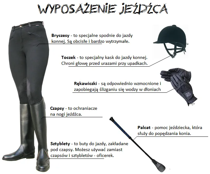 Kompletny strój jeździecki damski elementy