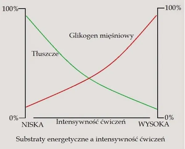 Wykres zalecanej ilości węglowodanów po treningu w zależności od celu treningowego