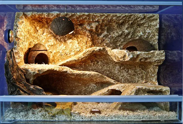 materiały do ścianki terrarium gekona lamparciego
