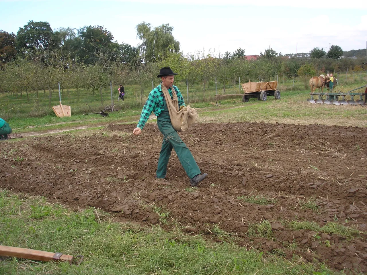 rolnik sieje zboże dla dzieci