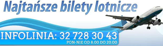 Osoba rezerwująca loty online