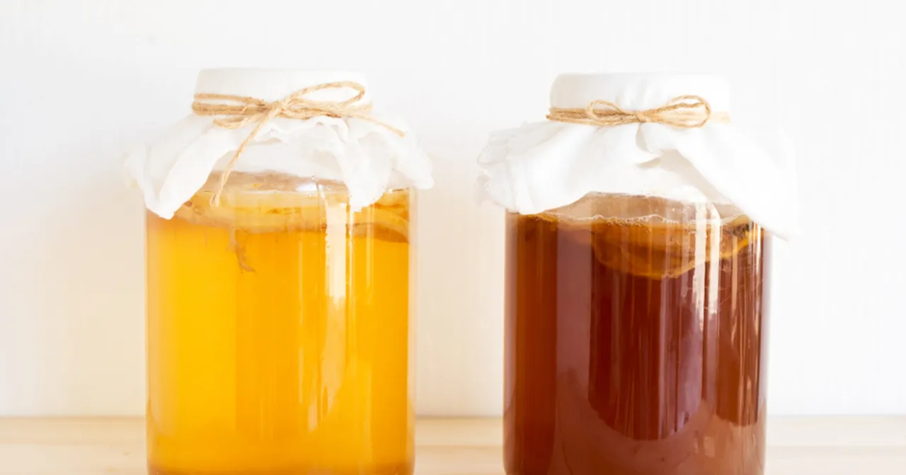 zdrowe i chore scoby kombucha porównanie