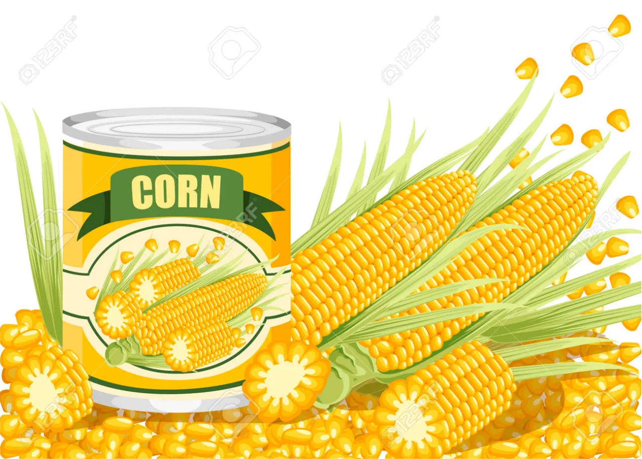 Kukurydza w puszce i świeża kolba kukurydzy obok siebie