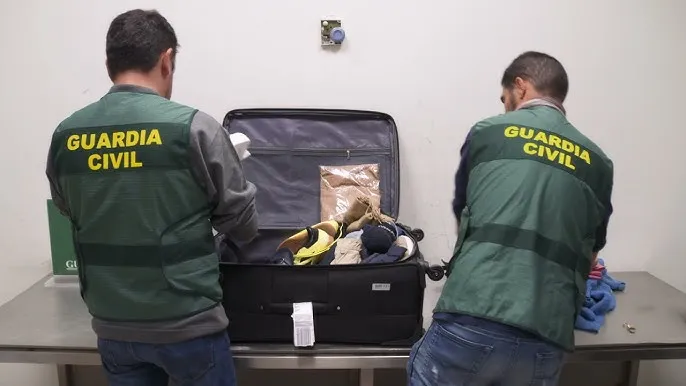 Celnicy kontrola bagażu alkohol