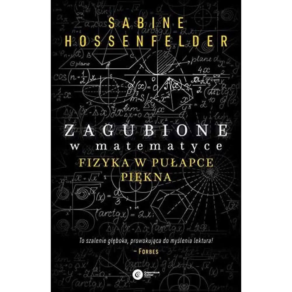 Zdjęcie Zagubione w matematyce - jak krytyka zmienia nasze myślenie o fizyce