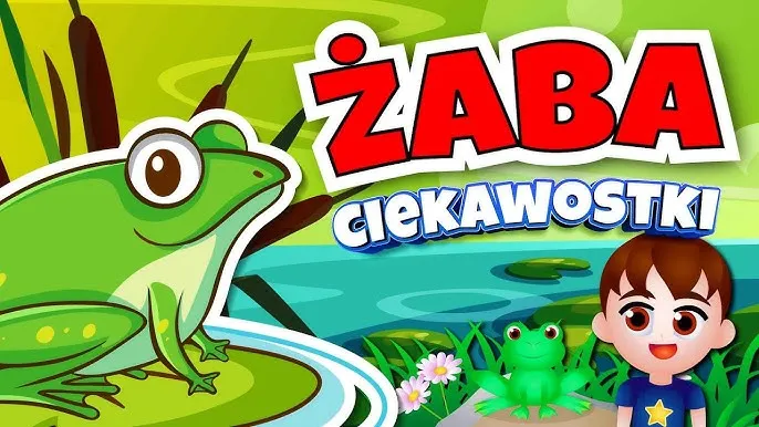 Zdjęcie Czym się żywią żaby? Odkryj ich niezwykłe nawyki żywieniowe