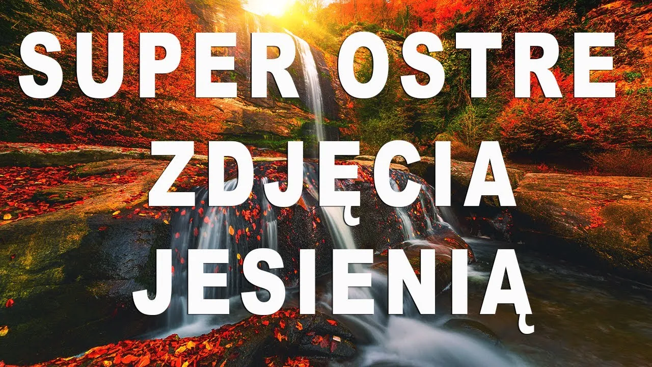 Zdjęcie Jak zrobić ostre zdjęcia: proste techniki na wyraźne fotografie