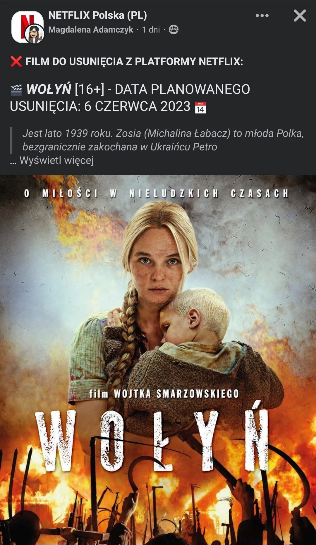 Zdjęcie Co zniknie z Netflixa? Oto lista tytułów, które musisz znać