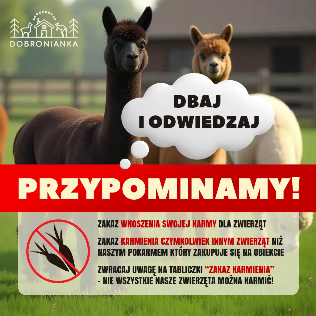 Zdjęcie Najciekawsze atrakcje w Dobroniu, które musisz odwiedzić na weekend