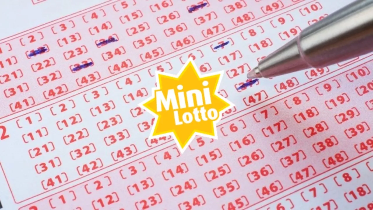 Zdjęcie Co to jest Lotto Plus? Zasady, wygrane i szanse na sukces