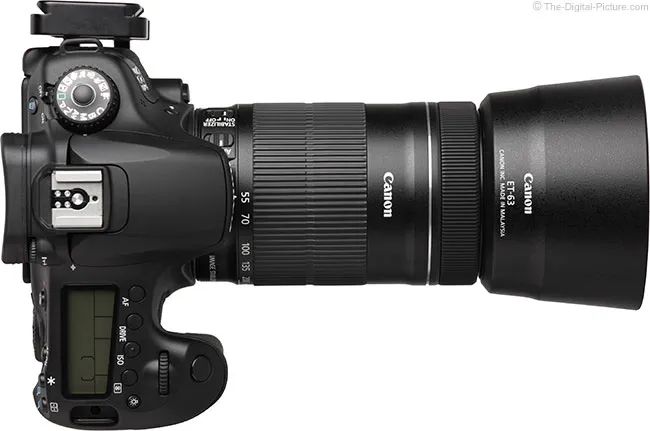 Zdjęcie Obiektyw Canon 55-250mm: 5 zastosowań, które Cię zaskoczą