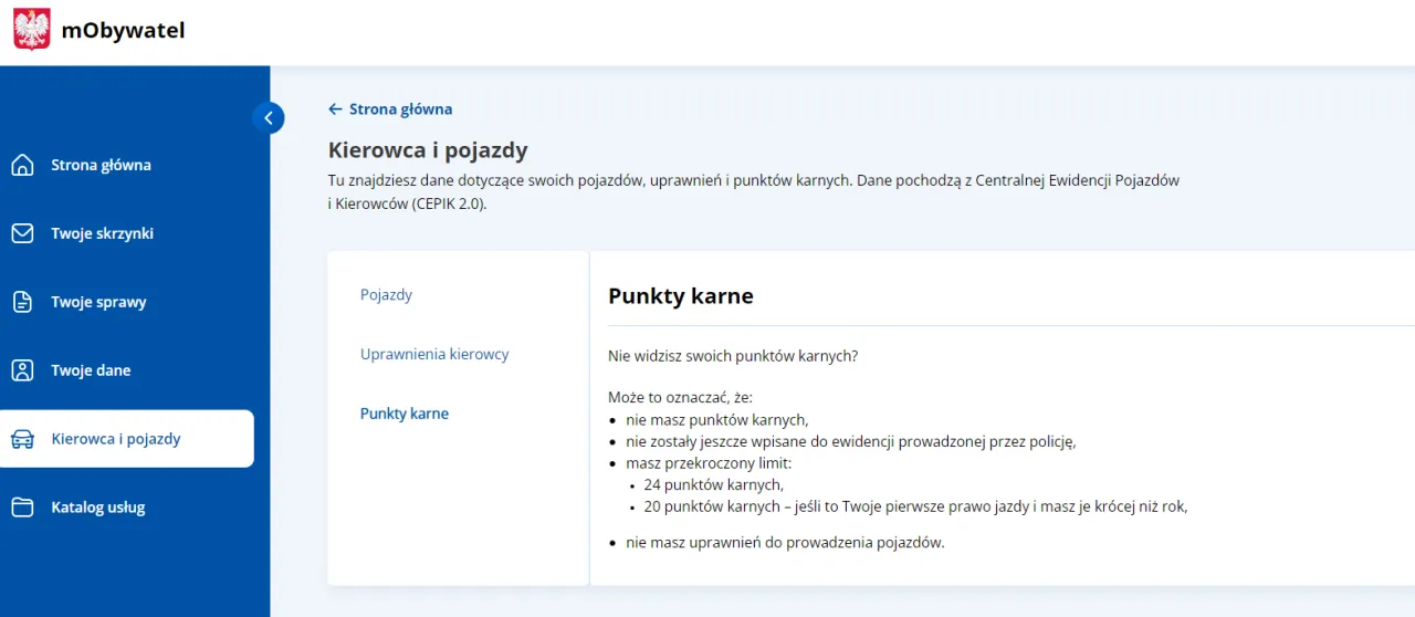 Zdjęcie Czy sąd może dać punkty karne? Sprawdź swoje prawa i możliwości