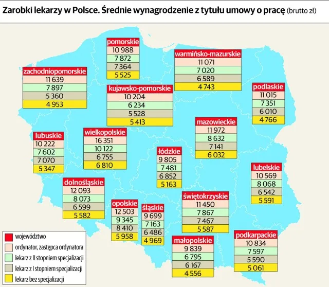 Zdjęcie Ile zarabiają lekarze w Polsce? Zaskakujące różnice w wynagrodzeniach!