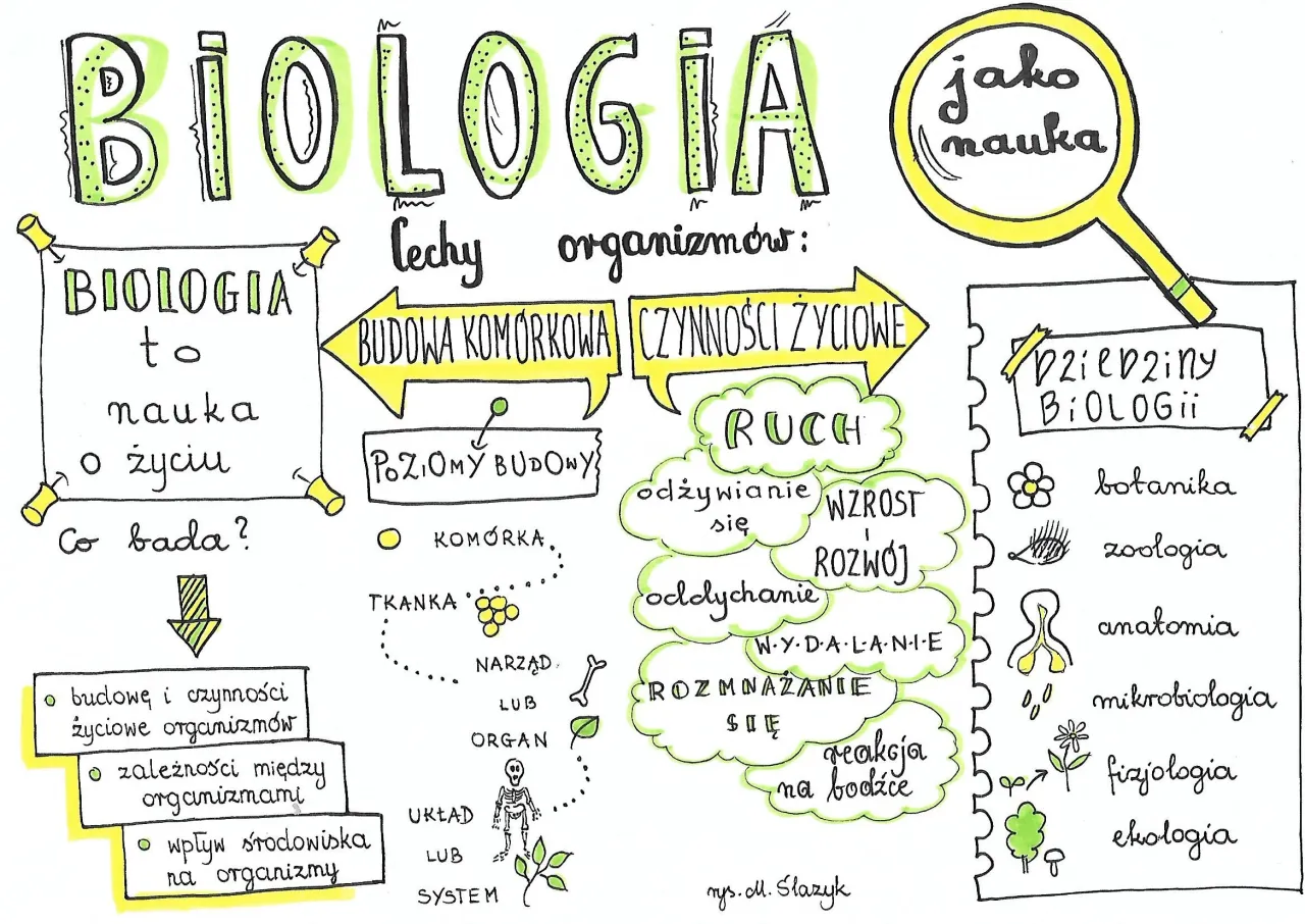 Zdjęcie Biologia co to jest? Prosta definicja, zastosowania i główne działy nauki