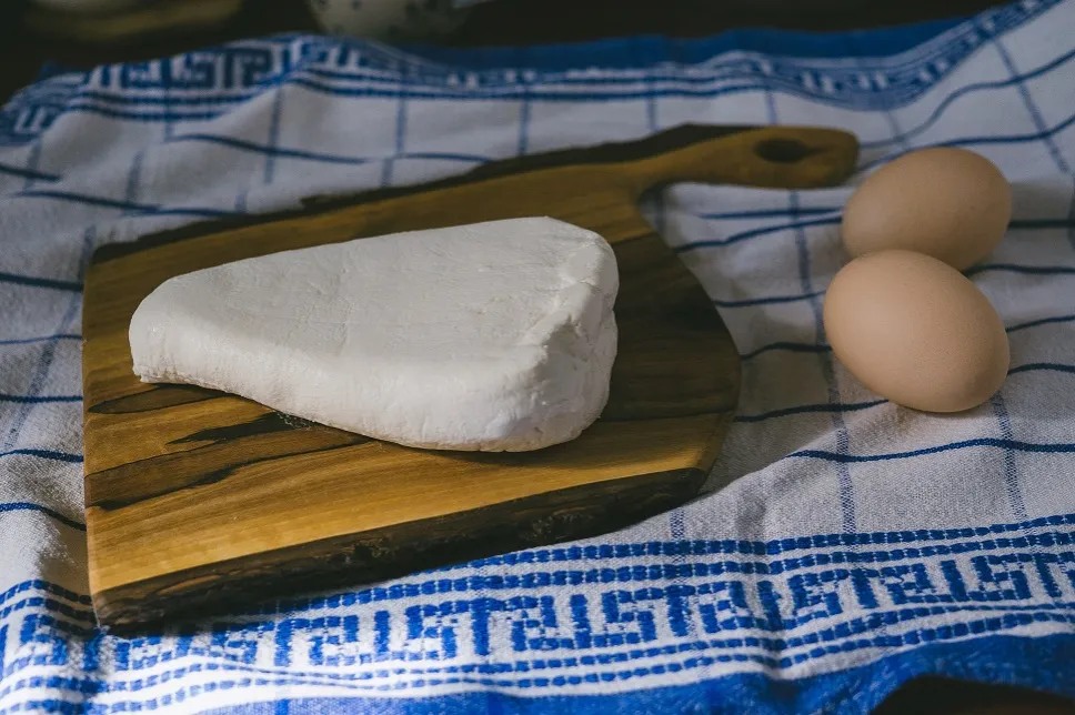 Zdjęcie Czy pies może jeść twaróg? Sprawdź, co musisz wiedzieć o diecie psa