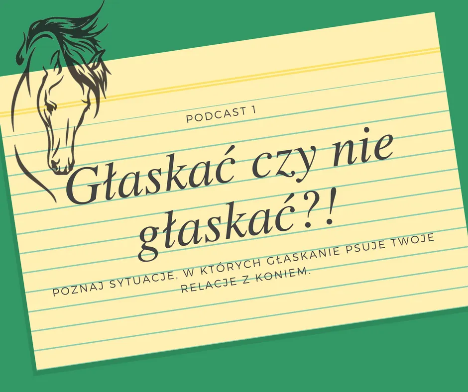 Zdjęcie Jak głaskać konia: unikaj błędów i zbuduj zaufanie zwierzęcia