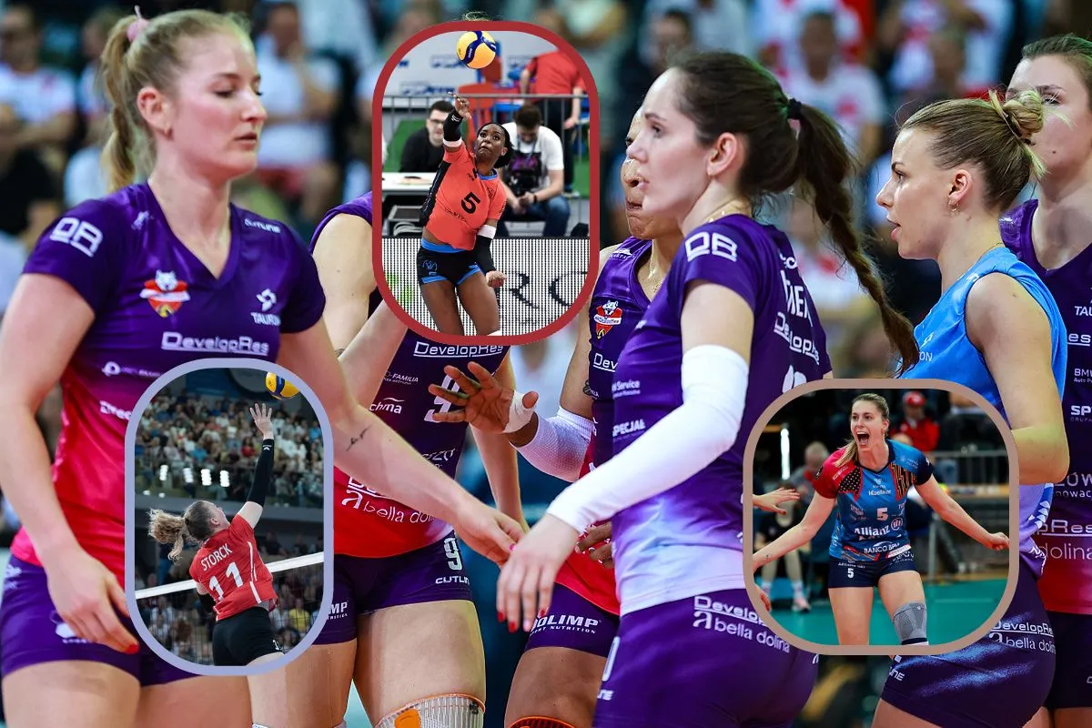 Zdjęcie Najlepsze polskie kluby siatkarskie: od PlusLigi do Tauron Ligi - ranking