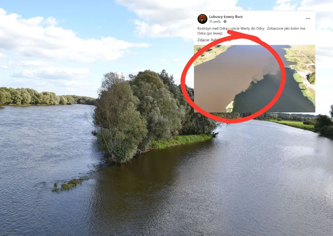 Zdjęcie Czy Odra wpada do morza? Odkryj tajemnice jej ujścia i delty